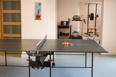  ping pong table 